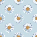 Daisy flowers seamless background repeating pattern, wallpaper background, cute seamless pattern background