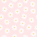 Daisy flowers seamless pattern background