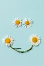 Daisy flowers smile on the blue background.Spring summer composition frame