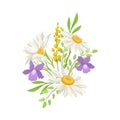 Daisy Flowers Vector Composition. Field Chamomile Blossom Concept Royalty Free Stock Photo