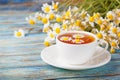 Daisy flowers in a white cup of tea, chamomile herbs on wooden background. Herbal medicine Royalty Free Stock Photo