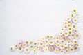 Daisy flowers on white wooden background. Copy space, top view. Royalty Free Stock Photo