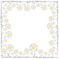 Daisy Frame Royalty Free Stock Photo
