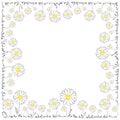 Daisy Frame Royalty Free Stock Photo