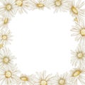 Daisy Frame. Hand drawn watercolor illustration of square Border with Chamomile flowers on isolated background Royalty Free Stock Photo