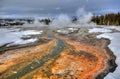 DAISY GEYSER RUNOFF