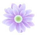 Daisy - hand made clipping path included Royalty Free Stock Photo