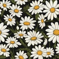 Daisy Harmony Floral Art Magic