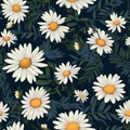 Daisy Harmony Floral Art Magic