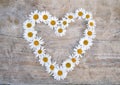 Daisy heart