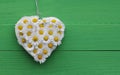 Daisy Heart on green Royalty Free Stock Photo