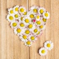 Daisy heart made from flowers on wooden background