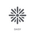 Daisy icon. Trendy Daisy logo concept on white background from N