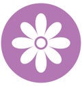 Daisy Isolate Vector Icon Editable Royalty Free Stock Photo