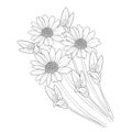 daisy line art, gerbera daisy drawing the outline, easy gerbera daisy drawing, outline simple Osteospermum drawing,