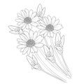 daisy line art, gerbera daisy drawing the outline, elegant minimalist daisy tattoo, daisy tattoo black and white.