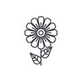 Daisy line icon concept. Daisy flat vector sign, symbol, illustration.