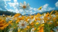 Daisy Meadow, Summer field with white daisies under blue sky Royalty Free Stock Photo