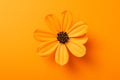 Daisy yellow floral colorful orange plant nature isolated close-up leaf flower Royalty Free Stock Photo