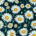 Daisy Petals in Bloom Seamless Beauty