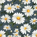 Daisy Petals in Bloom Seamless Beauty