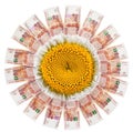 Daisy with petals of Russian banknotes. Royalty Free Stock Photo