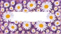 Daisy purple Celebration card