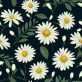 Daisy Radiance Floral Beauty