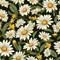 Daisy Radiance Floral Beauty