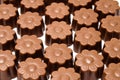 Daisy shaped chocolate assortment Royalty Free Stock Photo