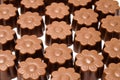 Daisy shaped chocolate assortment