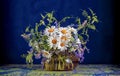 Daisy vase blue background Royalty Free Stock Photo