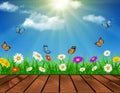 Daisy vector background summer design