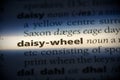 Daisy-wheel Royalty Free Stock Photo