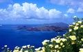 Daisy wildflowers on a background of blue sky, blue sea and island. Summer sunny morning on the island of Santorini, Greece. Royalty Free Stock Photo