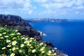 Daisy wildflowers on a background of blue sky, blue sea and island. Summer sunny morning on the island of Santorini, Greece. Royalty Free Stock Photo