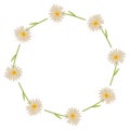 A daisy wreath isolated on a white background in a clean hand-drawn spring floral concept, illustration Royalty Free Stock Photo