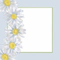 Daisy Wreaths and Square Frame Template. Royalty Free Stock Photo