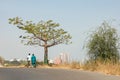 Dakar coastline, beach and vegetation. Dakar. Senegal. West Africa Royalty Free Stock Photo