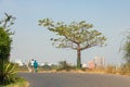 Dakar coastline, beach and vegetation. Dakar. Senegal. West Africa Royalty Free Stock Photo