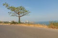 Dakar coastline, beach and vegetation. Dakar. Senegal. West Africa Royalty Free Stock Photo