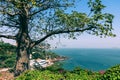 Dakar coastline, beach and vegetation. Dakar. Senegal. West Africa Royalty Free Stock Photo