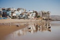 Dakhla, MOROCCO - JANUARY 18, 2020: a brown seagull in front of the ocean with houses in the background