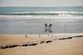 Dakhla, MOROCCO - JANUARY 18, 2020: professional surfers carrying their surfboards while going to the sea, professional surfers in