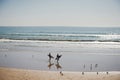 Dakhla, MOROCCO - JANUARY 18, 2020: professional surfers carrying their surfboards while going to the sea