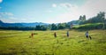 Children playing at countryside in Vietnam Royalty Free Stock Photo