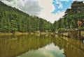 Dal Lake, Dharamshala, Himachal Pradesh Royalty Free Stock Photo