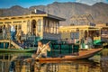 Life on Dal Lake, Srinagar, India Royalty Free Stock Photo