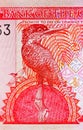 5 Dalasis banknote, Bank of Gambia. Fragment: Giant Kingfisher Megaceryle maxima