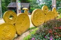 DALAT, VIETNAM - APRIL 15, 2019: Sculpture of golden coin in tropical park Prenn Dalat Vietnam